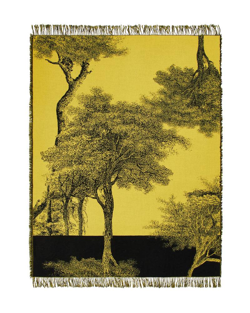 Lanerossi Radici plaid by Palomba Serafini Presa