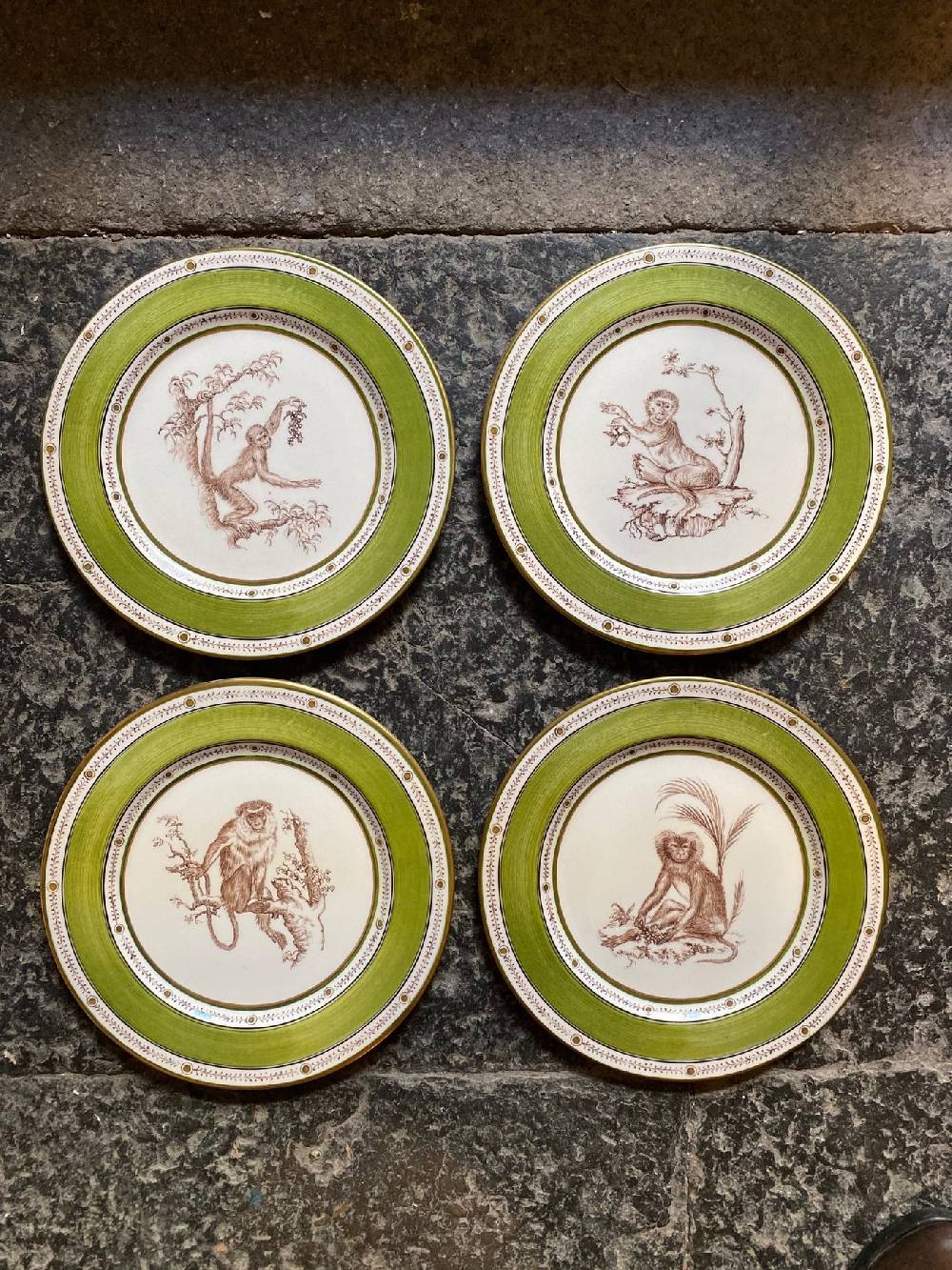 Laboratorio Paravicini Monkey Green 09 Offerte
