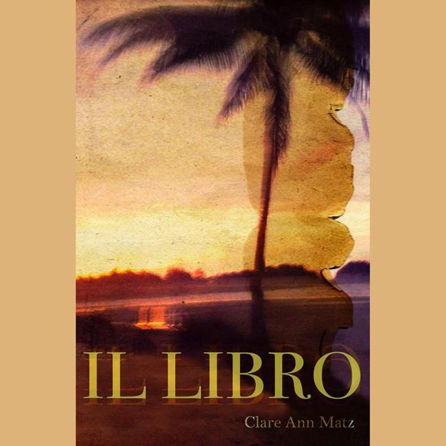 Libraccio IL LIBRO (audiolibro)