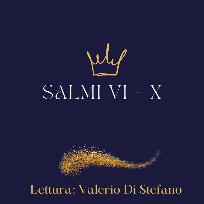 Libraccio Salmi VI - X (audiolibro) Offerta speciale della fabbrica