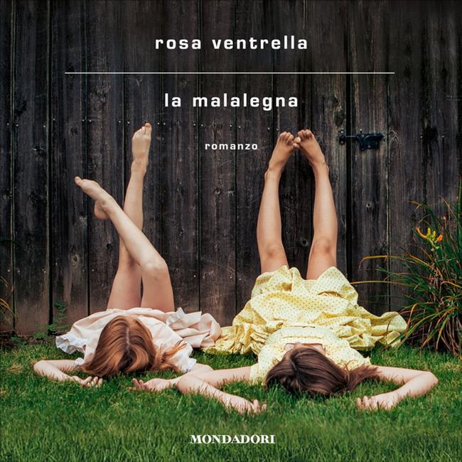 Libraccio La malalegna (audiolibro)