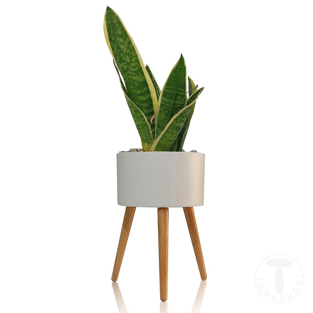 Tomasucci Vaso autoinnaffiante per esterno / interno CALLA - C Sconto
