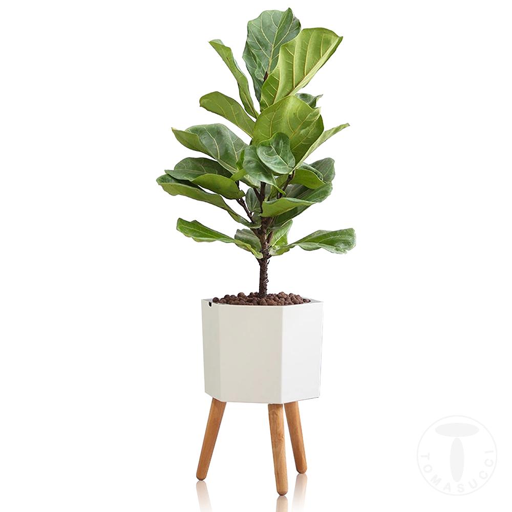 Tomasucci Vaso autoinnaffiante per esterno / interno CALLA - D Outlet