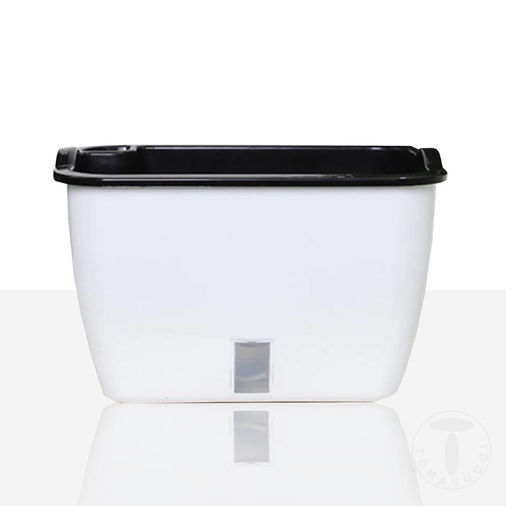 Tomasucci Vaso autoinnaffiante per esterno / interno DAHLIA SMALL In Vendita