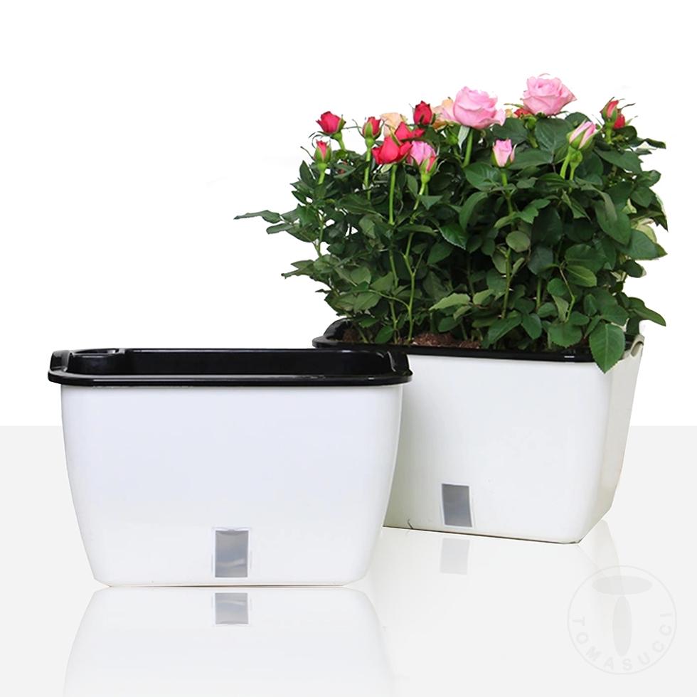 Tomasucci Vaso autoinnaffiante per esterno / interno DAHLIA SMALL In Vendita
