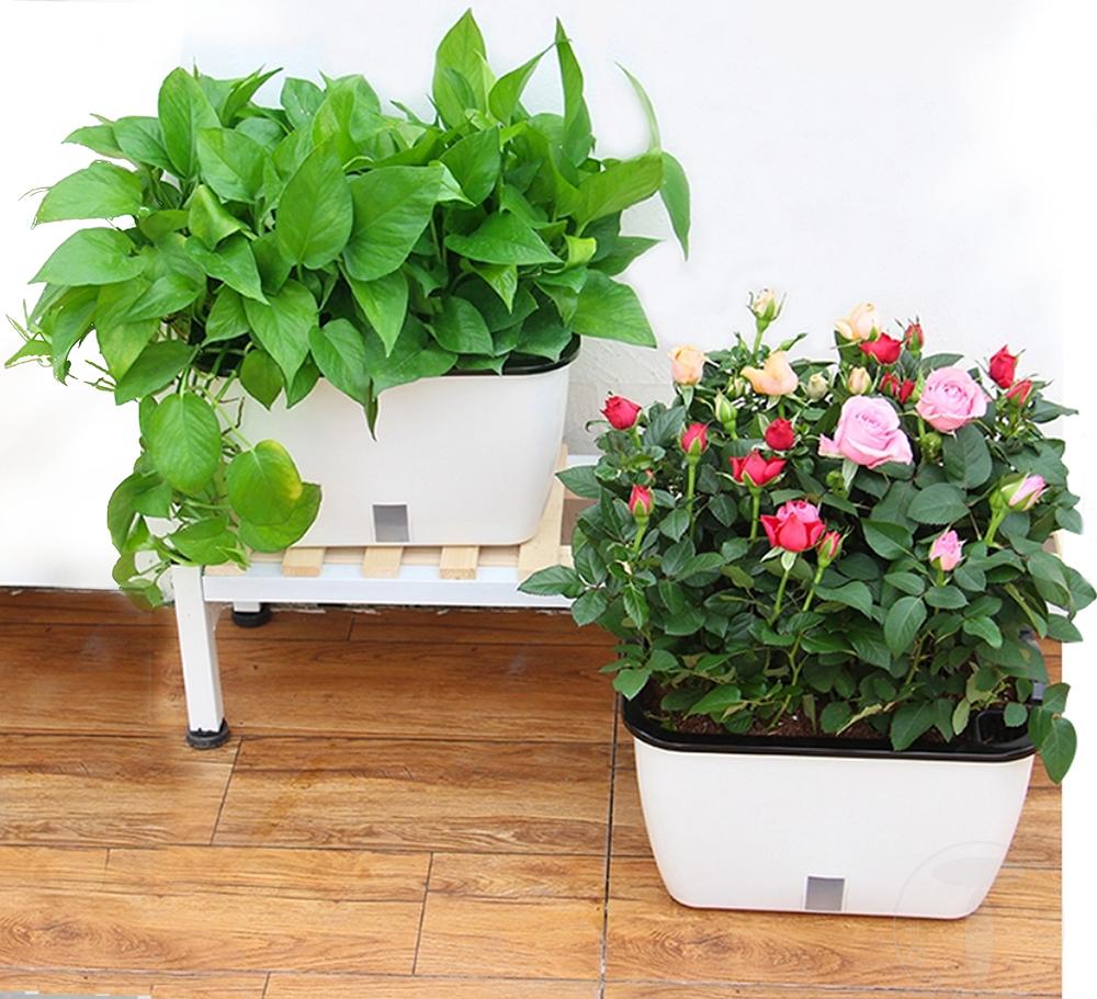 Tomasucci Vaso autoinnaffiante per esterno / interno DAHLIA SMALL In Vendita