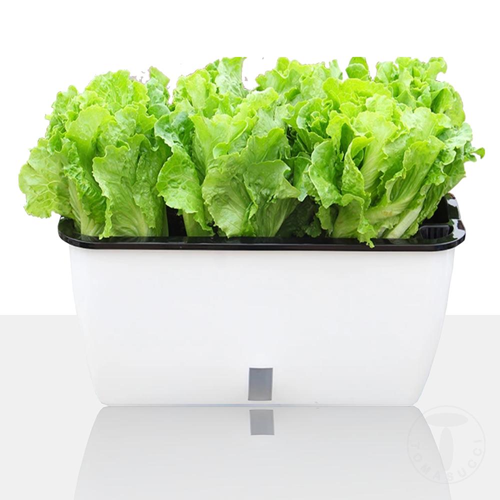 Tomasucci Vaso autoinnaffiante per esterno / interno DAHLIA BIG Saldi