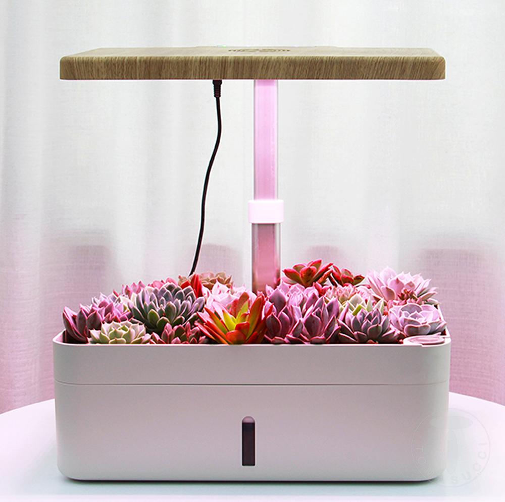 Tomasucci Serra idroponica GREEN GARDEN Offerte