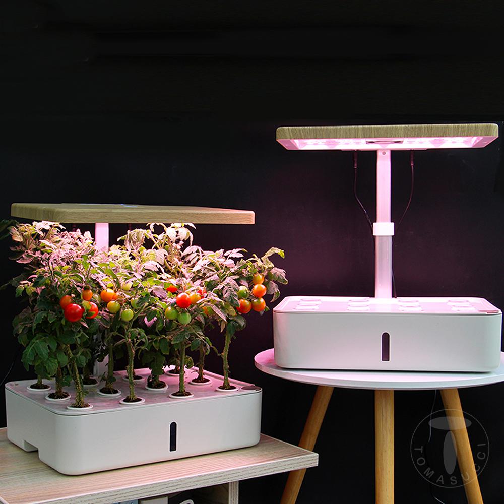 Tomasucci Serra idroponica GREEN GARDEN Offerte