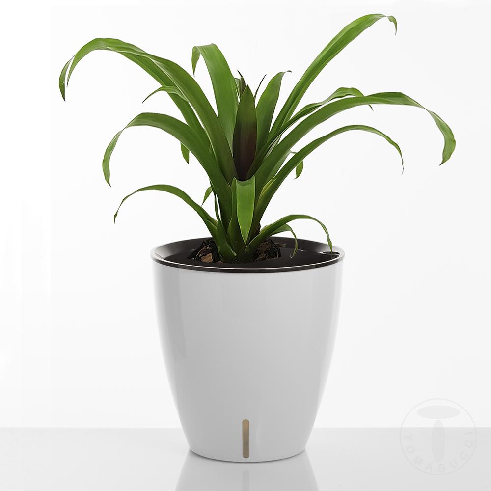 Tomasucci Vaso autoinnaffiante per esterno / interno TULIP Hotsell